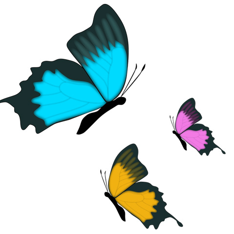 新しいコレクション かっこいい 蝶 イラスト 綺麗 ただの無料イラスト