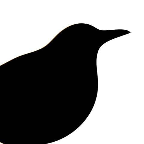 白黒イラスト 鳥 アイコン とりイラスト Line