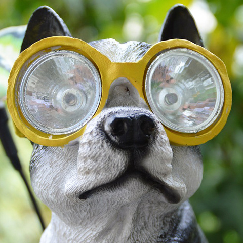 Twitter おもしろい犬写真アイコン 犬の置物