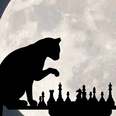 プロフィール チェスする猫アイコン 月とネコのシルエット